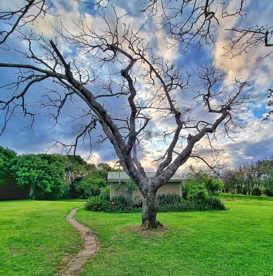 Villa Oppieplaas Country Estate Haga Haga Exterior foto